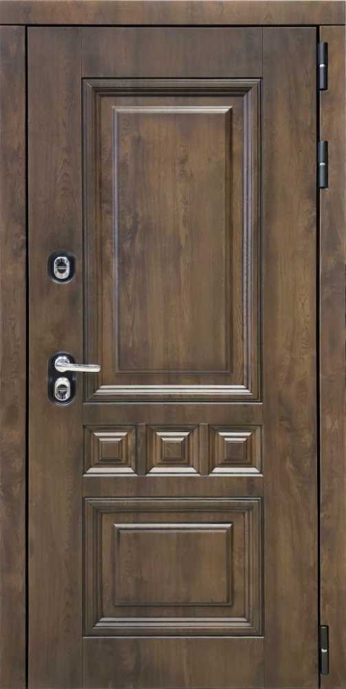 Входная дверь ДвериПРО Аура Без фрезеровки Дуб пацифик горизонт DPRO195668 внешняя сторона